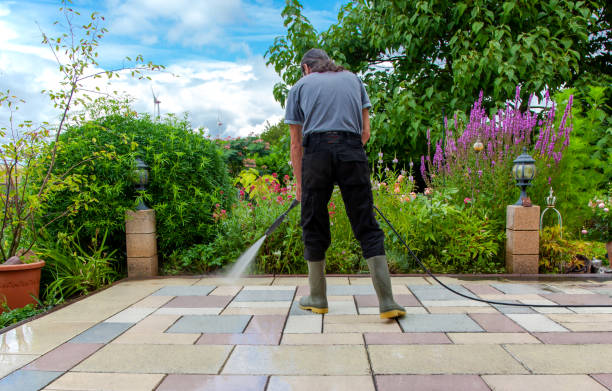 Best Fence Cleaning  in Pelham, AL